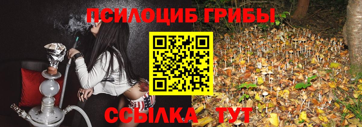 Химки  Галлюциногенные грибы Cubensis  Вход с VPN 